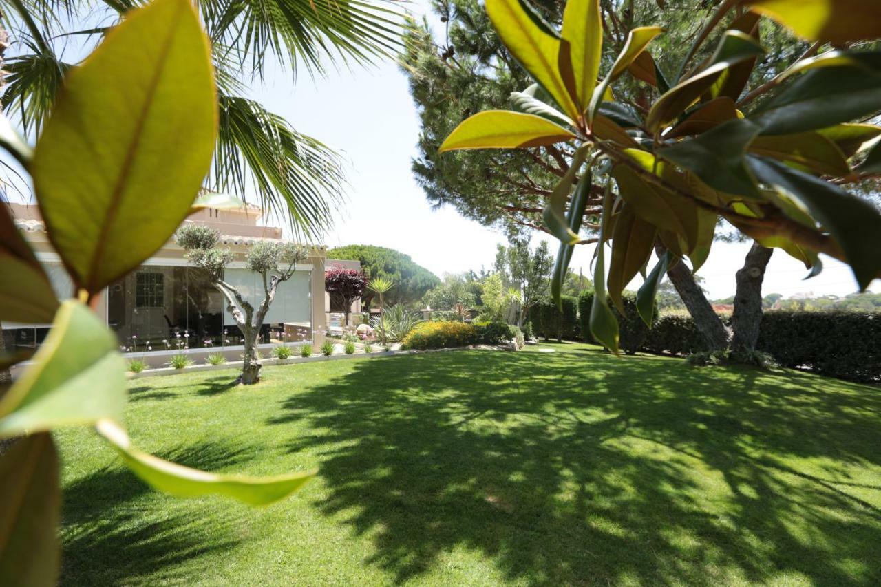 Quinta Do Pinheiro Manso - Holidays Villa - Marinha Beach Carvoeiro  Kültér fotó