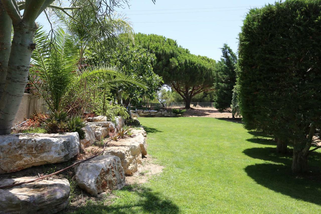 Quinta Do Pinheiro Manso - Holidays Villa - Marinha Beach Carvoeiro  Kültér fotó