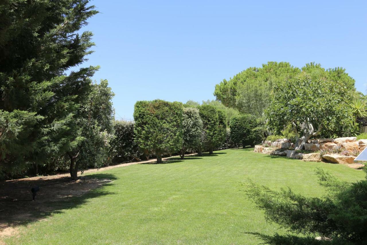 Quinta Do Pinheiro Manso - Holidays Villa - Marinha Beach Carvoeiro  Kültér fotó