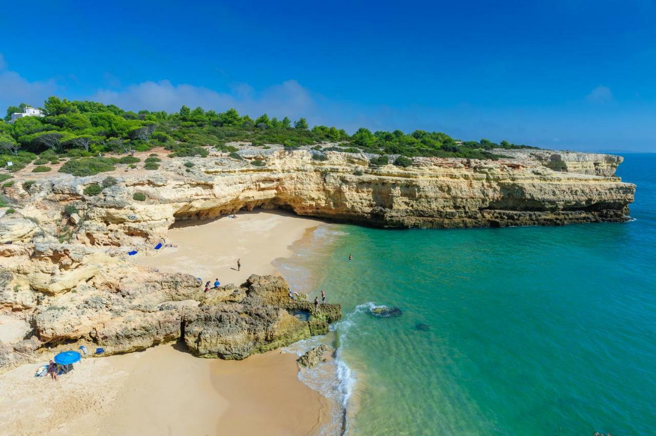 Quinta Do Pinheiro Manso - Holidays Villa - Marinha Beach Carvoeiro  Kültér fotó